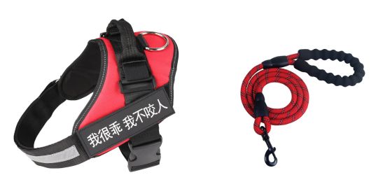 Fashion Simple Pet Leash Chest Strap Set (Option: Red-M)