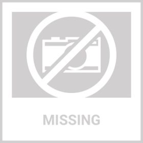 Heated Water Bowl For Dogs And Cats Ceramic Heated Pet Water Bowl Food Warmer USB Powered Thermal Pet Bowl Provide Fresh Non Freezing Drinkable W (Option: 2Bowl)